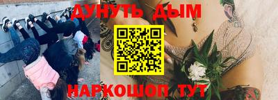 apvp Партизанск