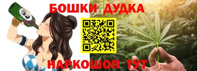 apvp Партизанск
